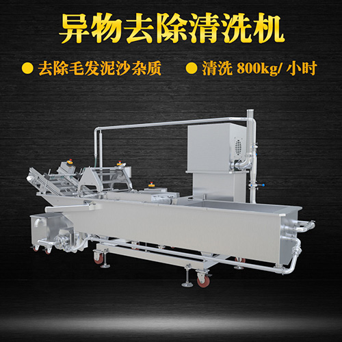 果蔬氣泡翻洗機，有效清洗，過濾泥沙