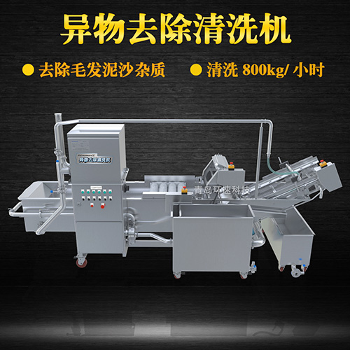 多功能水果清洗機，氣泡清洗，清洗800kg小時
