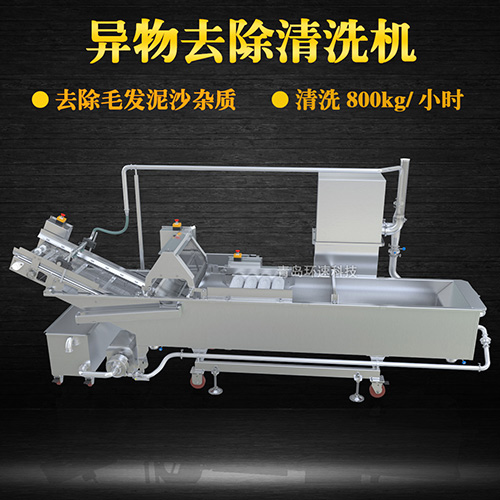 商用專業(yè)果蔬清洗機(jī)，氣泡清洗，清洗800kg小時(shí)