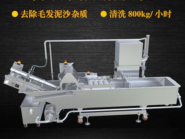 蔬菜清洗機(jī)，氣泡清洗，清洗800kg/小時(shí)