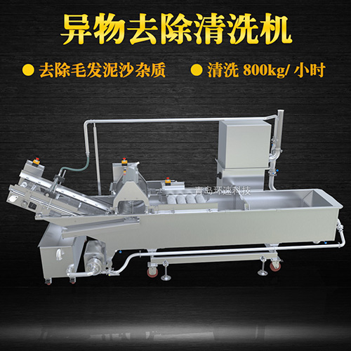 蔬菜清洗機(jī)，氣泡清洗，清洗800kg小時