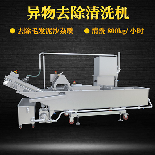 蔬菜氣泡清洗機(jī)，氣泡清洗，清洗800kg小時(shí)